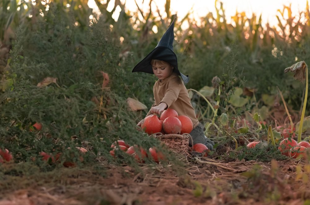 Photograph by Anastasia Hölzer