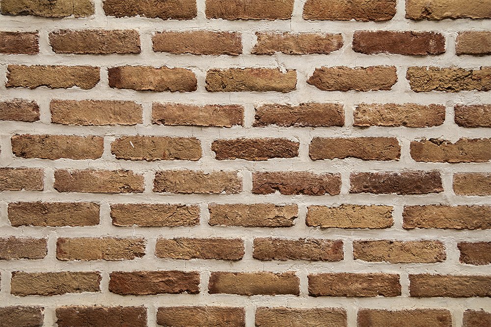 Photograph by Neda Ghiasi