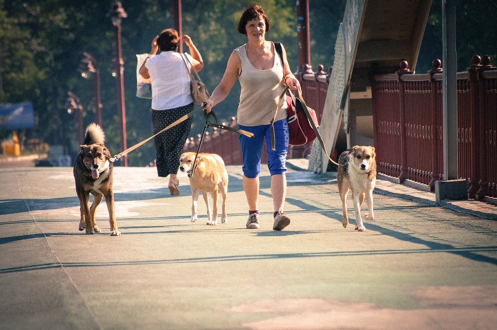 Photograph by Sergey Otkidach