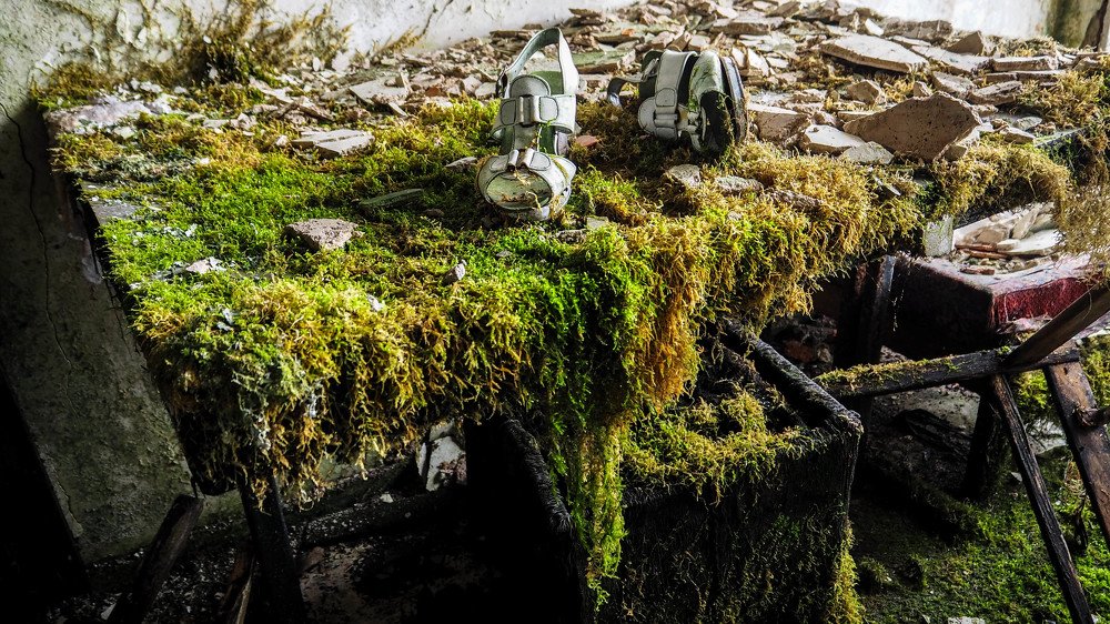 Photograph by Александрас Савицкис