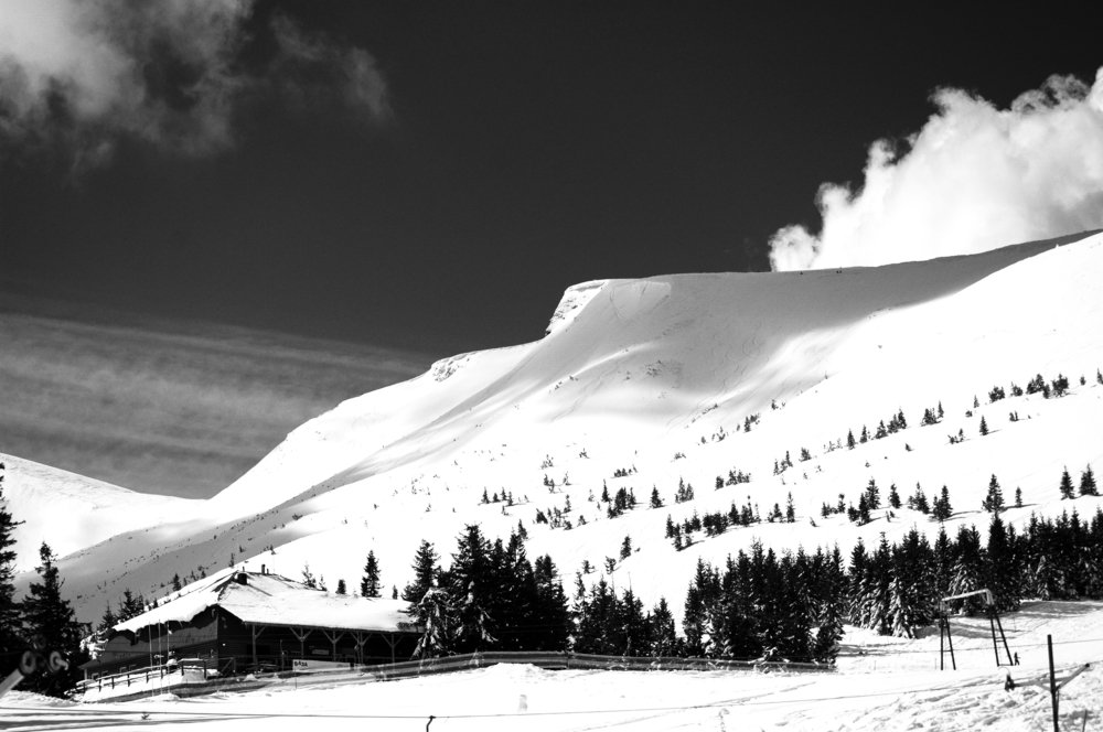 Photo #3745980