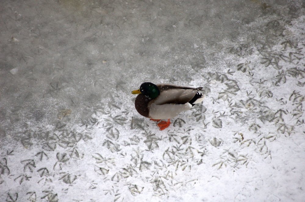 Photograph by Sergey Otkidach