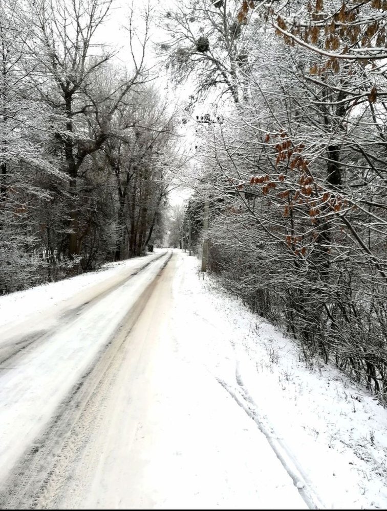 Photograph by Светлана Ветрова