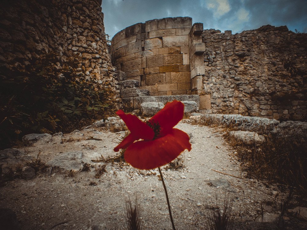 Photograph by Александрас Савицкис