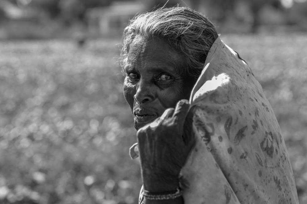 Photograph by Tilaxan Tilaxan