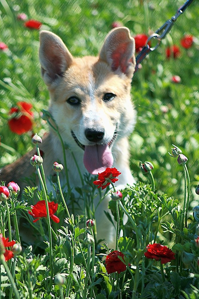 Photograph by Евгений Рабинович