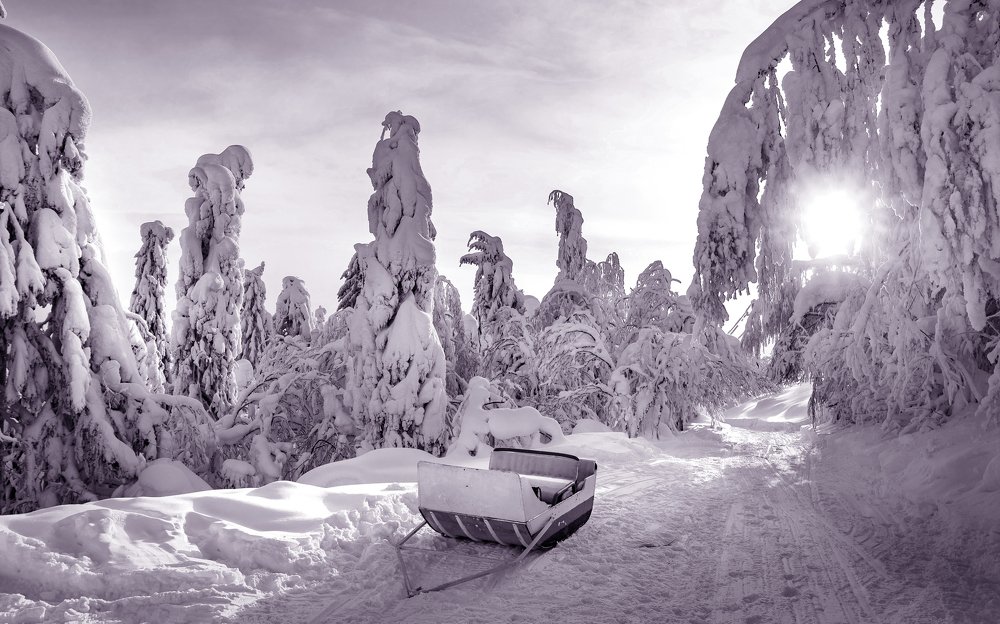 Photograph by Andrey Chuntomov