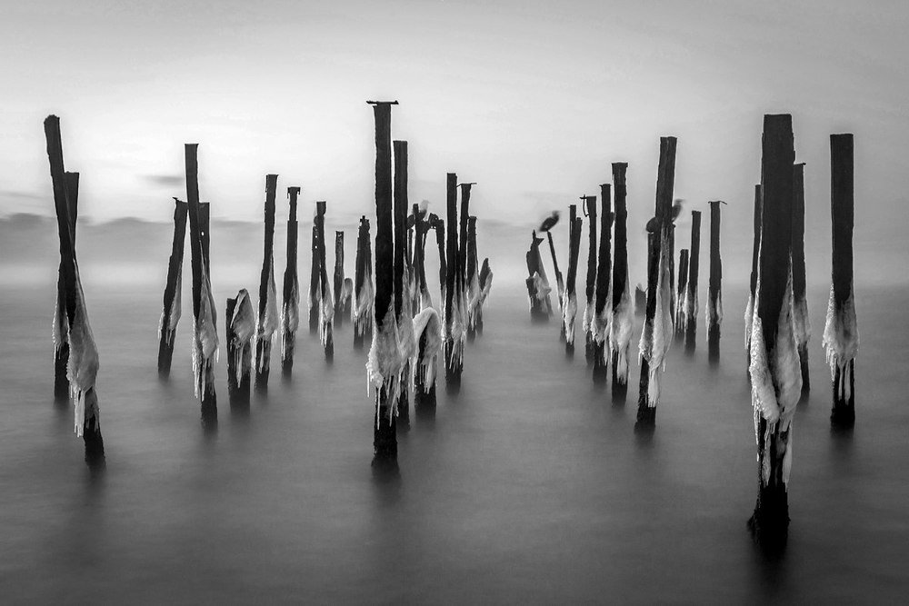 Photograph by Алексей Яковлев