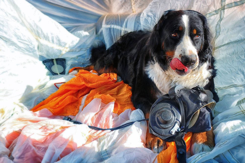 Фотография автора Анастасия Пищулова