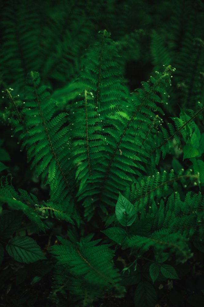 Photograph by Нина Костилевская