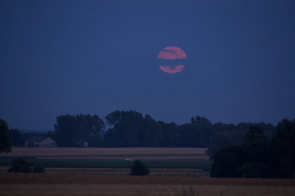 Photograph by Przemyslaw Wlodkowski