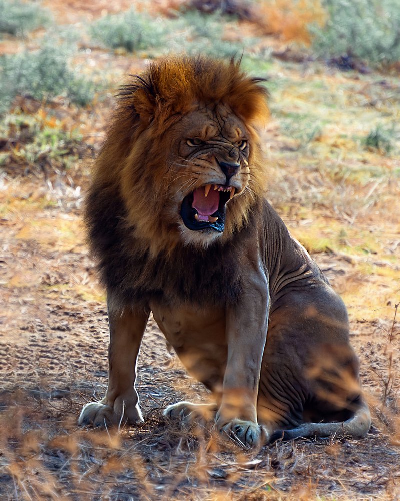 Photograph by David Lerer