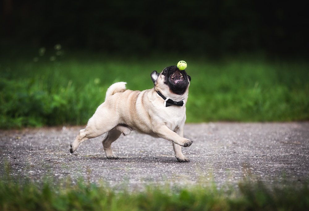 Photograph by Юлия Вербицкая