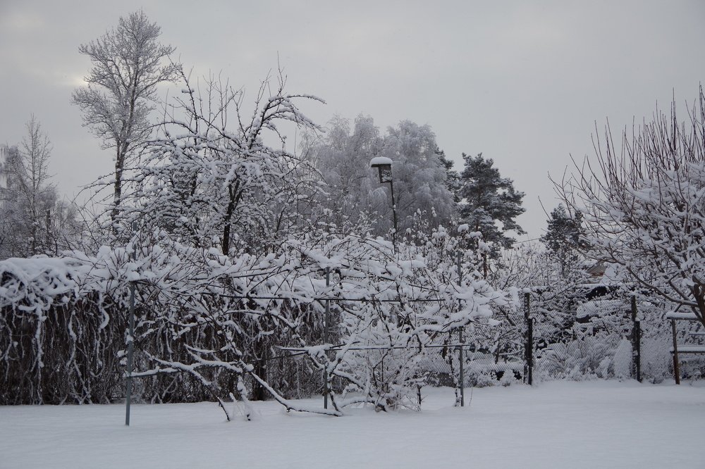 Фотография автора Марина Савчиц