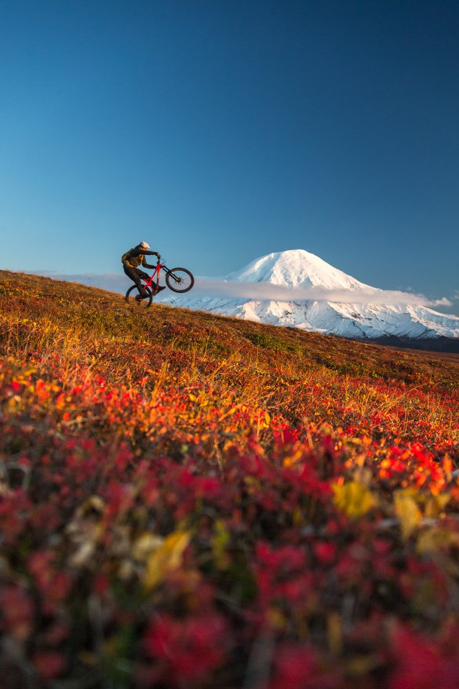 Photograph by Елена Верещака