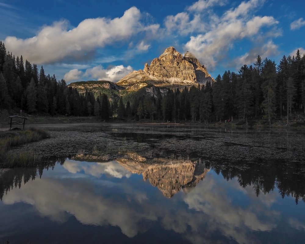 Photograph by Римма Рамазанова