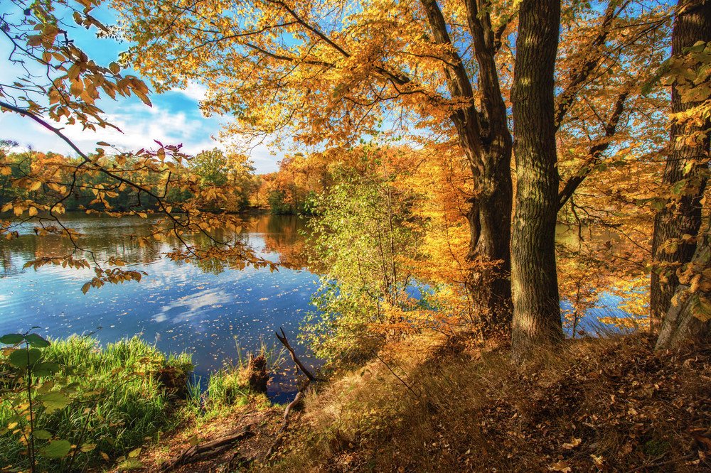 Краски осени