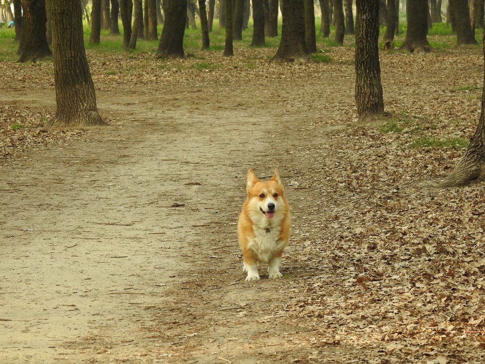 Photograph by Ольга Захарченко