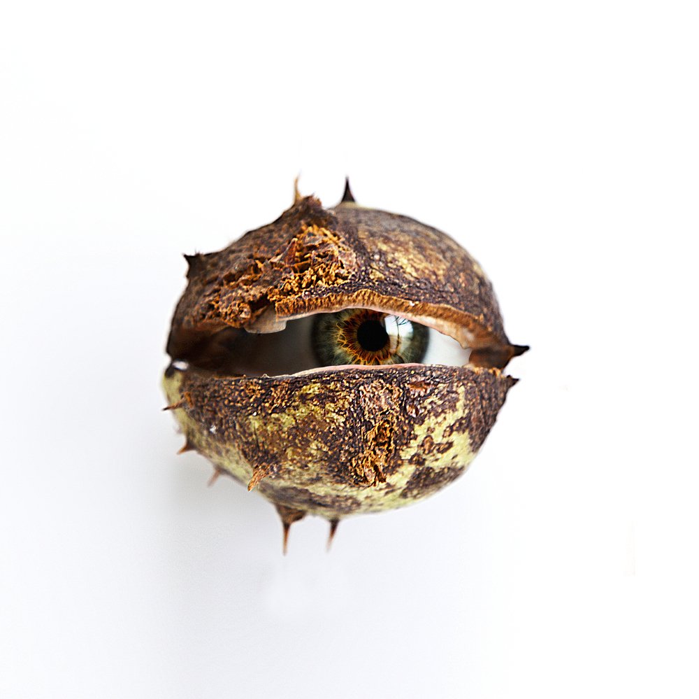 Photograph by Diana Kondra