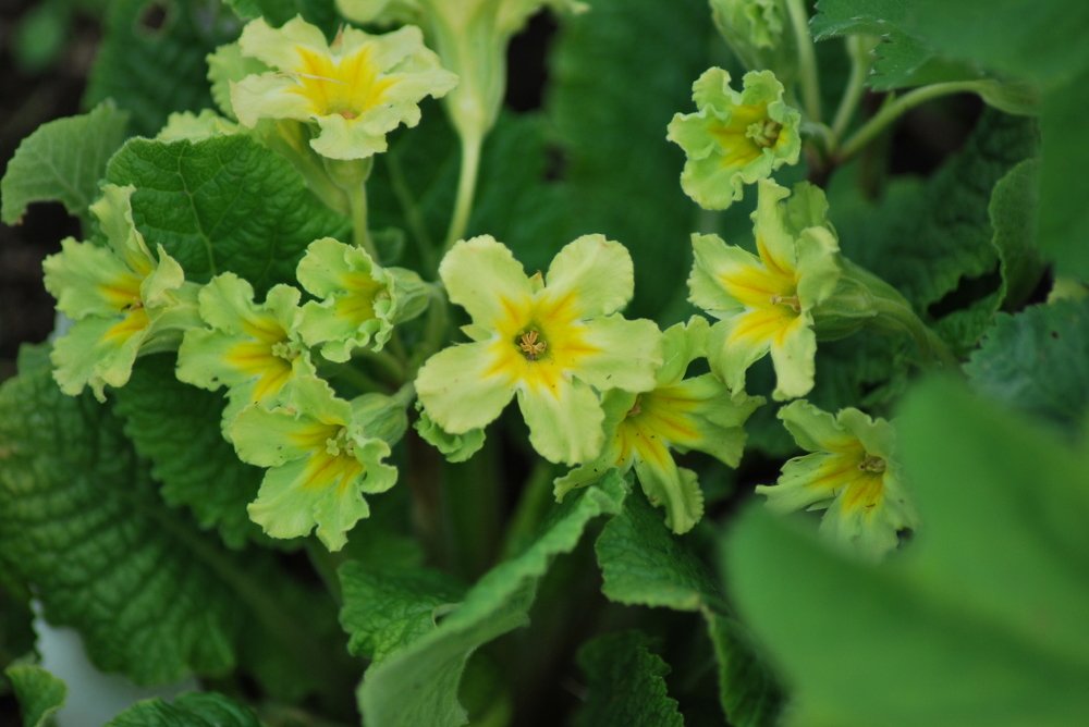 Фотография автора Наталья Липовская