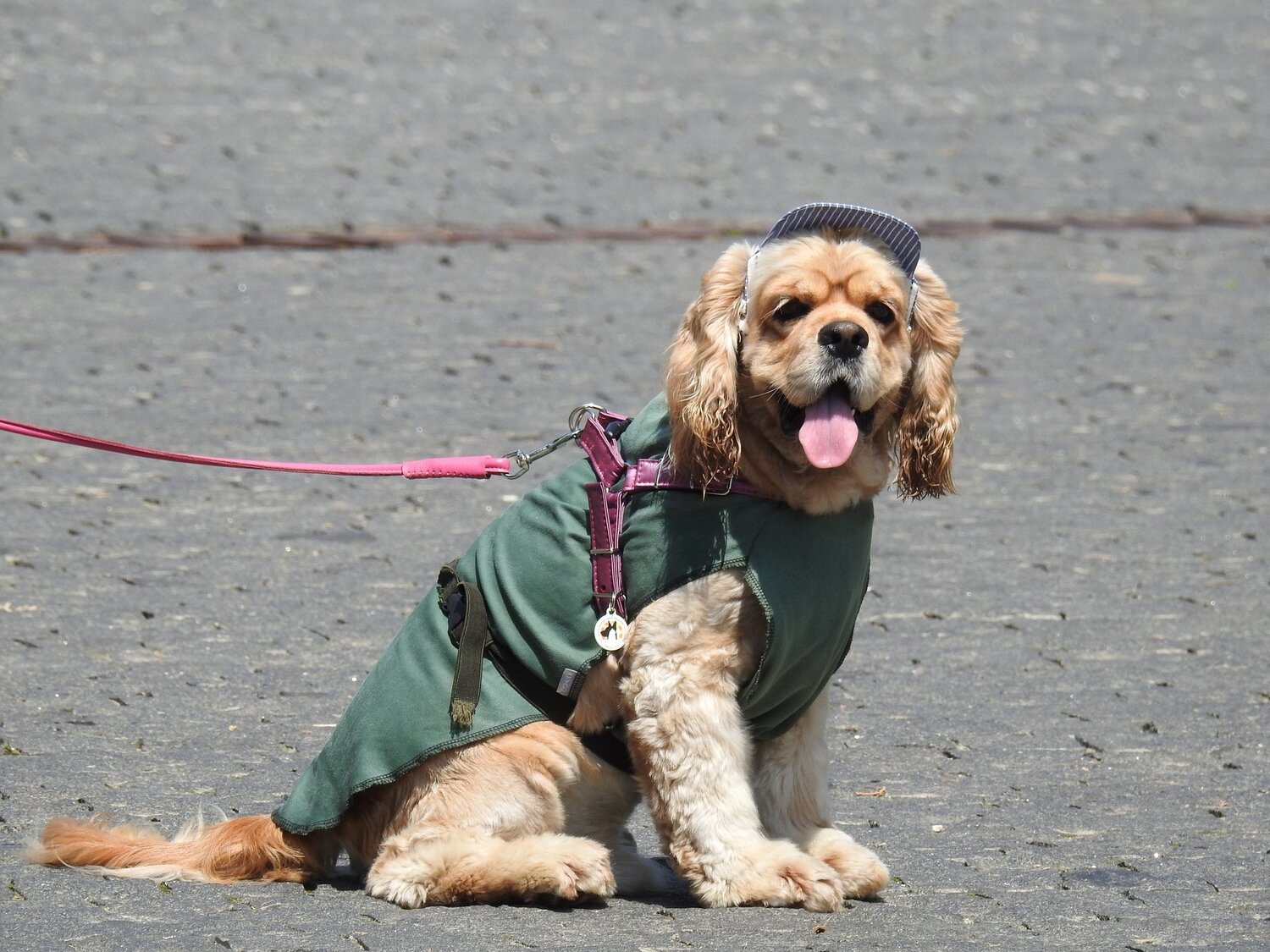 Photo #3746547