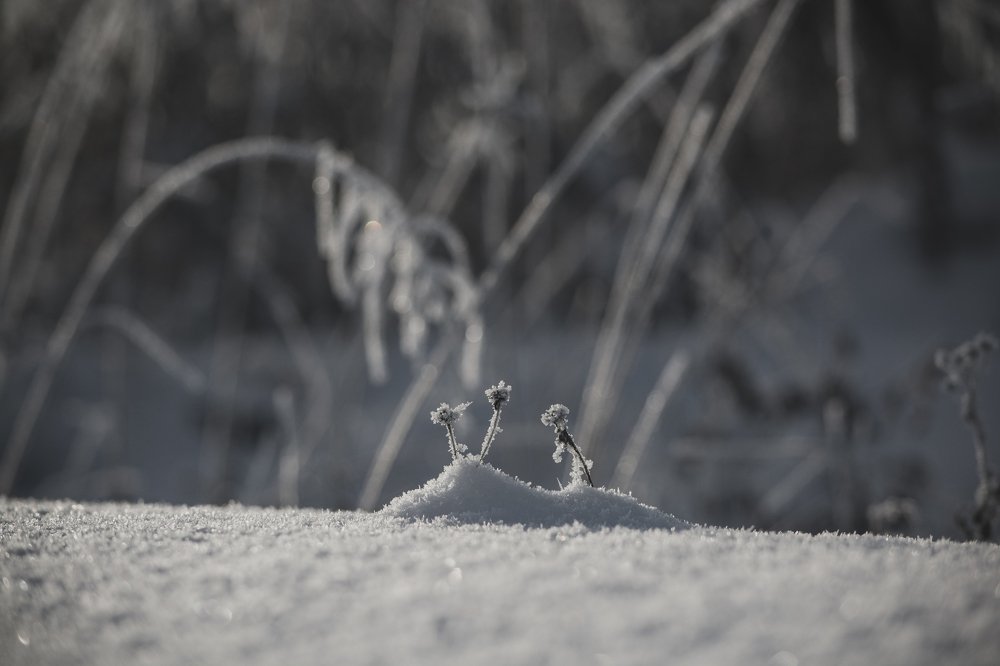 Photograph by Артем Полинин