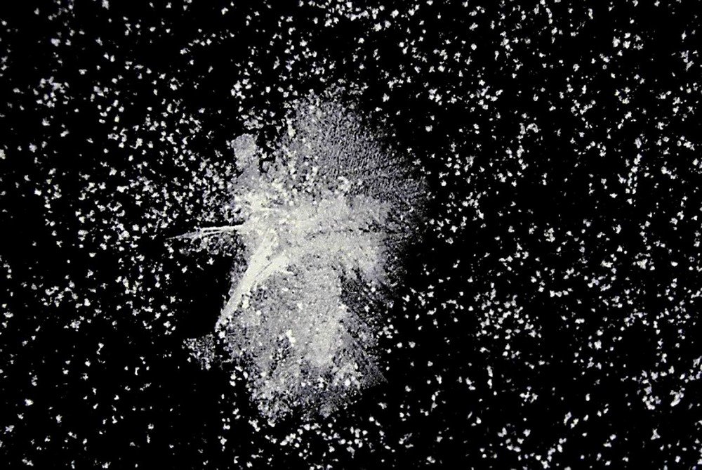 Photograph by Валерий Дубровин