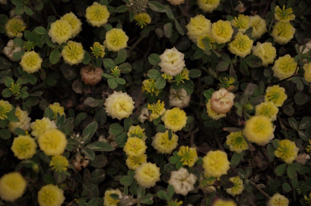 Photograph by Маргарита