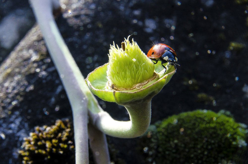 Photograph by Сергей Абрамов