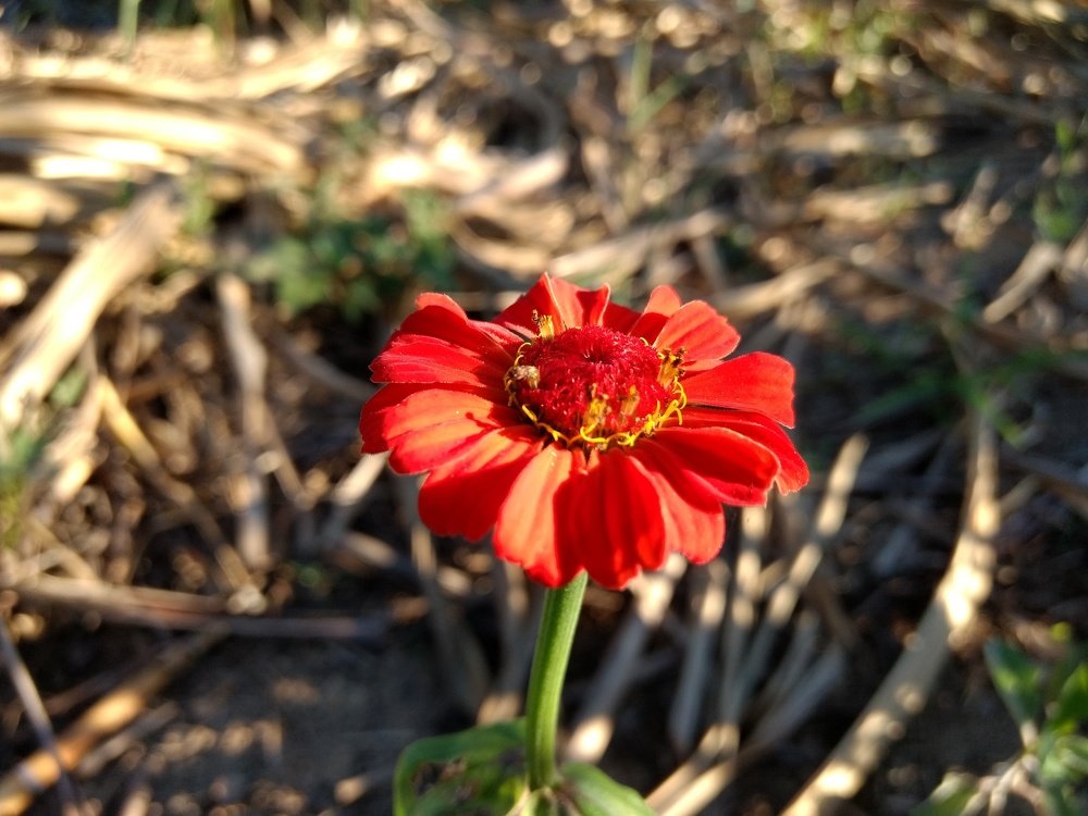 Фотография автора Jose Barbosa