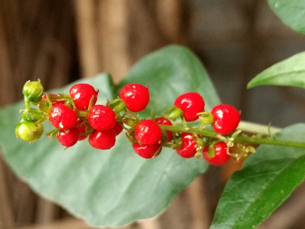 Фотография автора Jose Barbosa