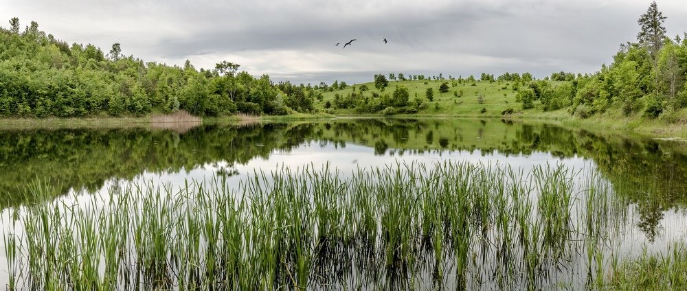 Nature in its green state