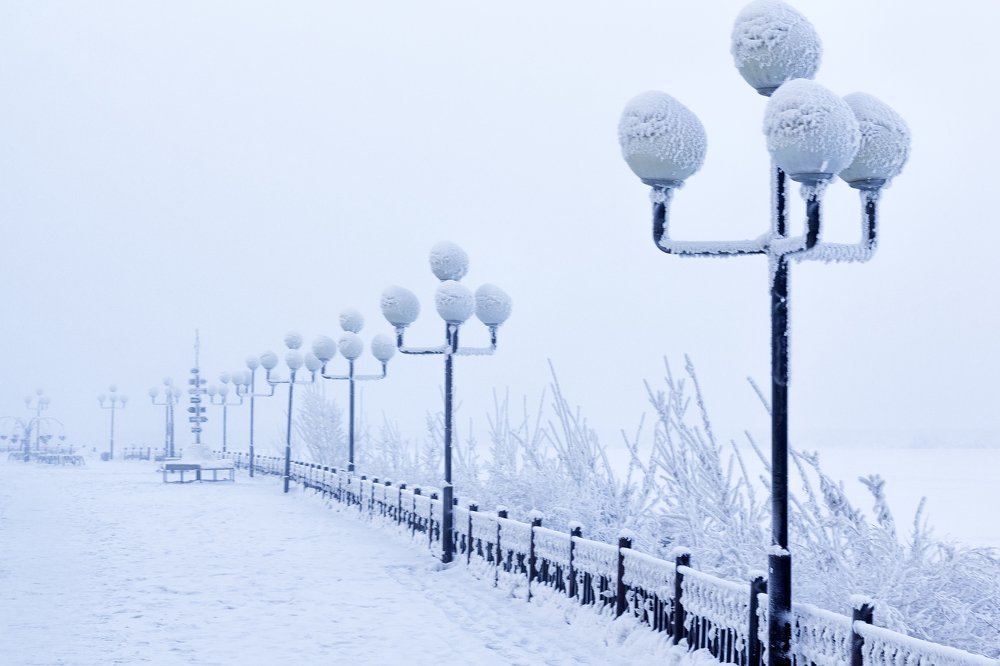 Фонарные столбы.