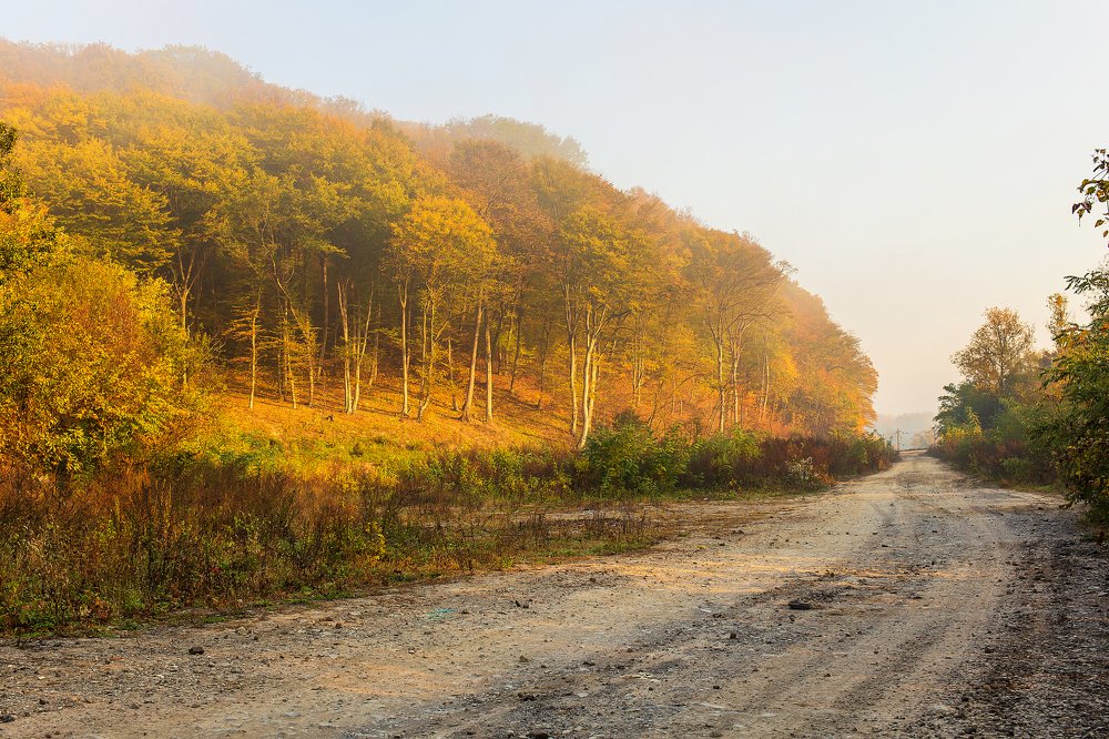 Фотография автора Artem Zheleznyakov