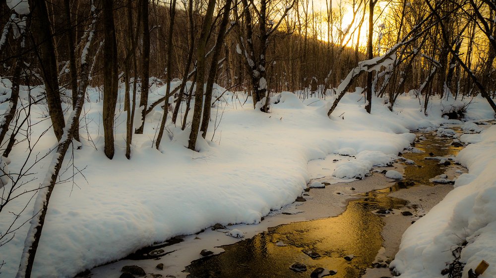 Фотография автора Olena Vorotyntseva