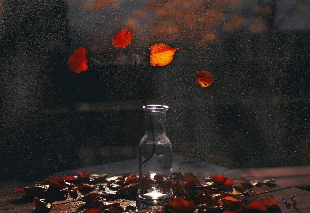 Photograph by Евгения Буш