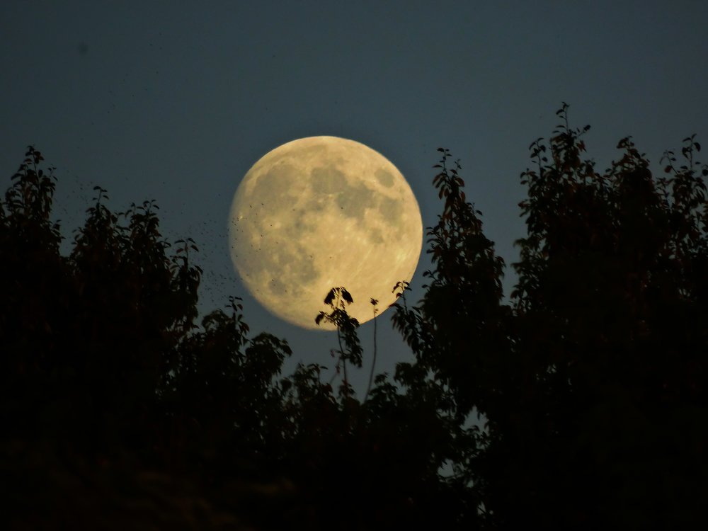 Photograph by Алексей Глухов