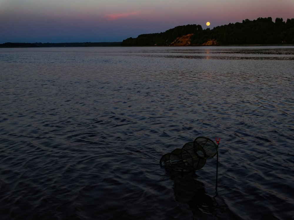 Photograph by Алексей Глухов