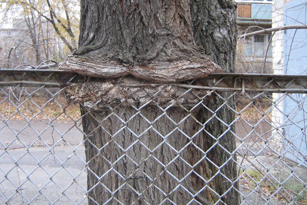 Перекусить что-ли?