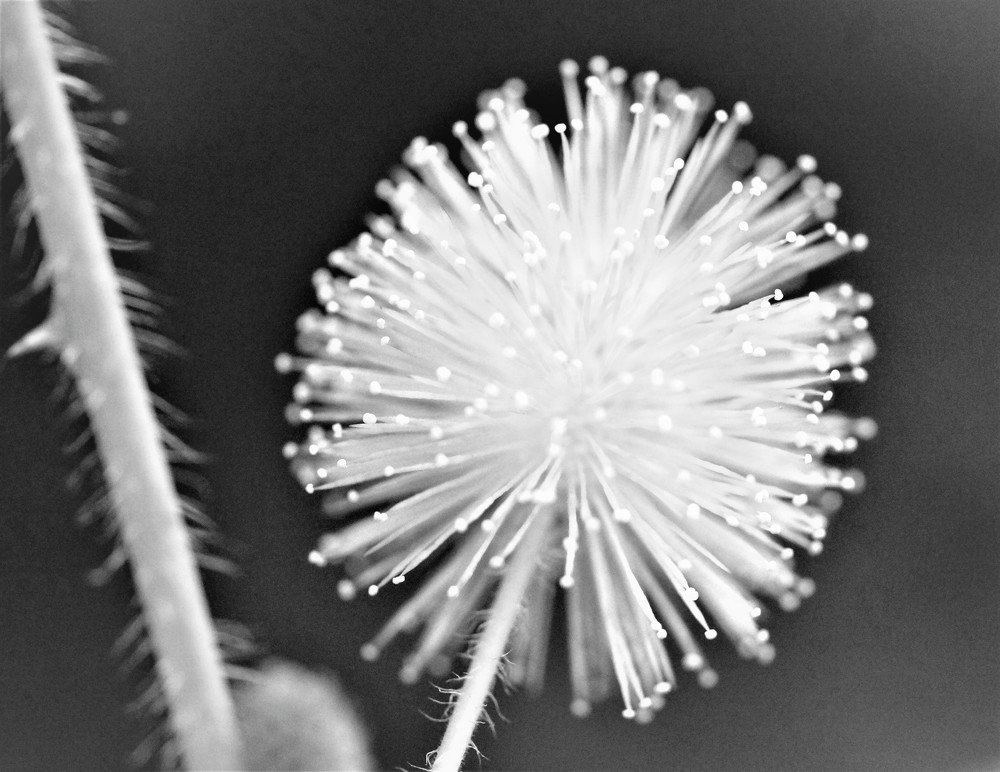 Photograph by Karina Elena Bergagna