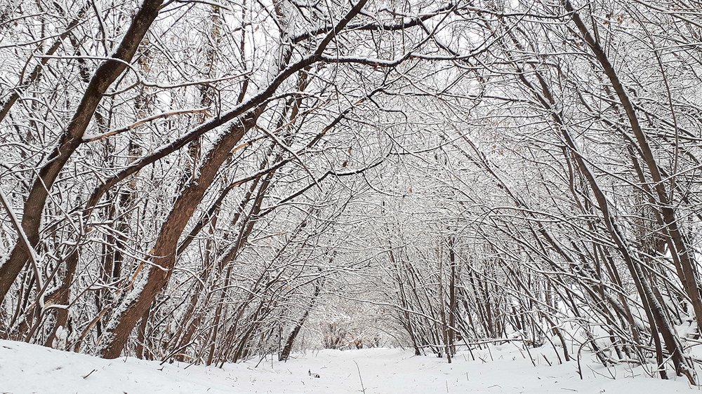 Photograph by Михаил Рассказ