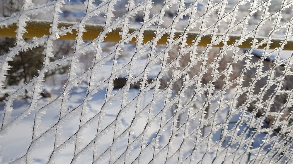 Photograph by Наталья Анисимова