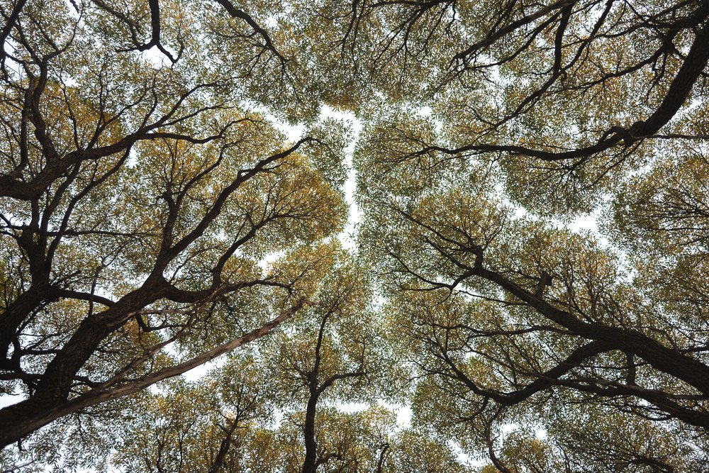 Photograph by Михаил Пучков