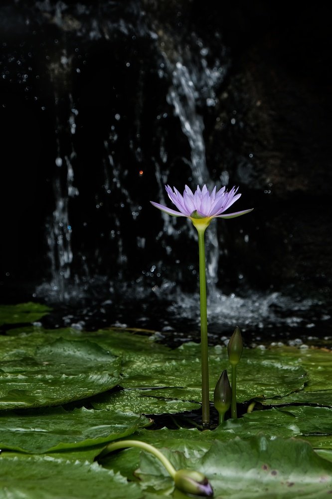 Photograph by Oliver Oh