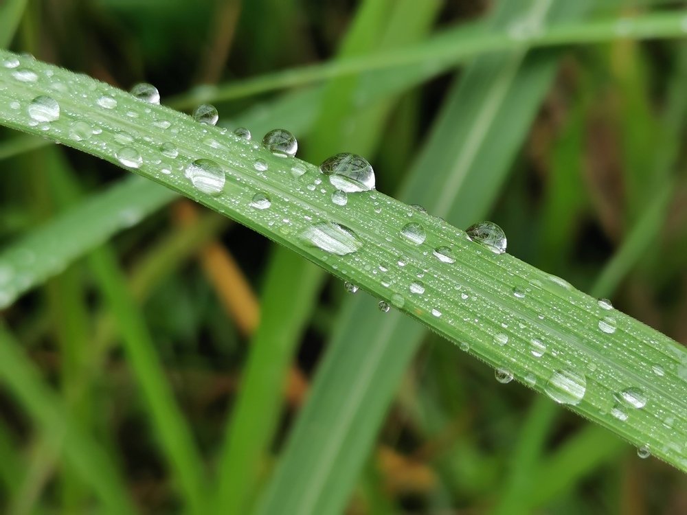 Photograph by Oliver Oh