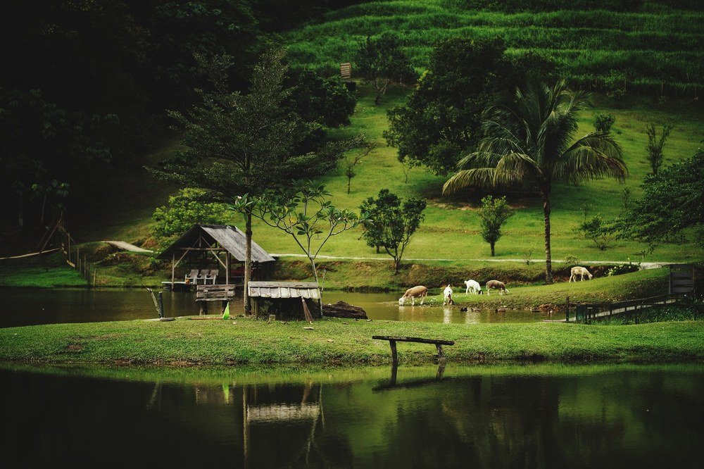 Photograph by Oliver Oh