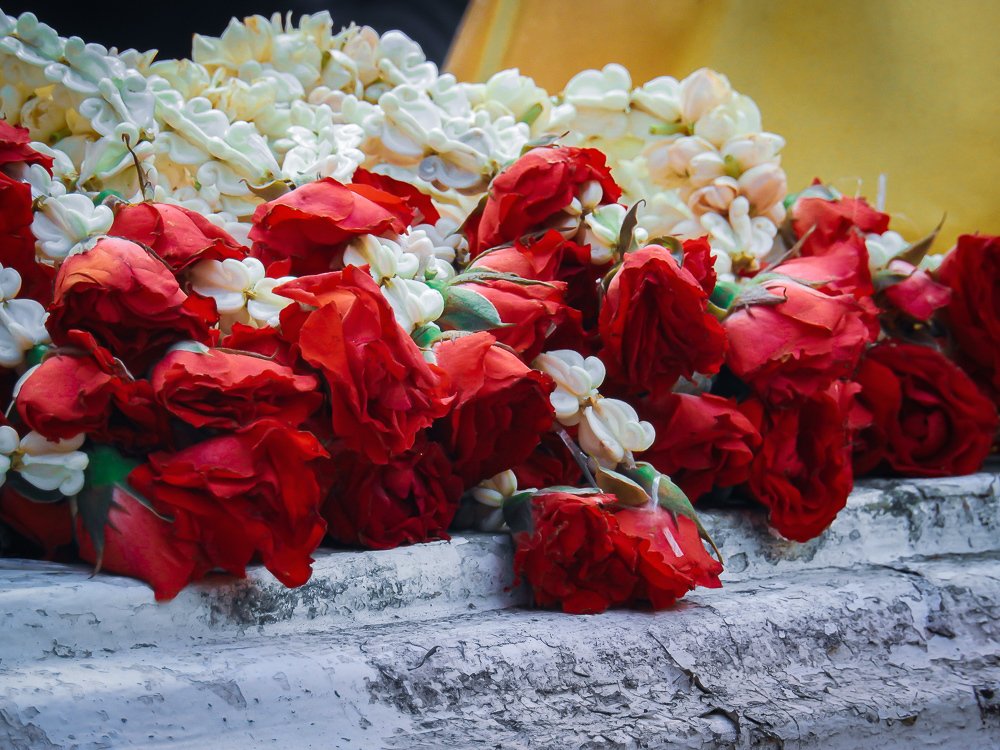 Фотография автора Gabriela Bonilla