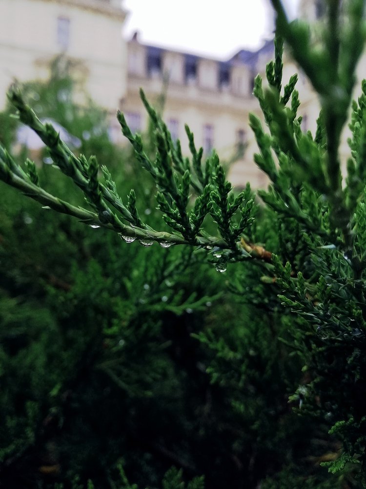 Photograph by Anastasiya