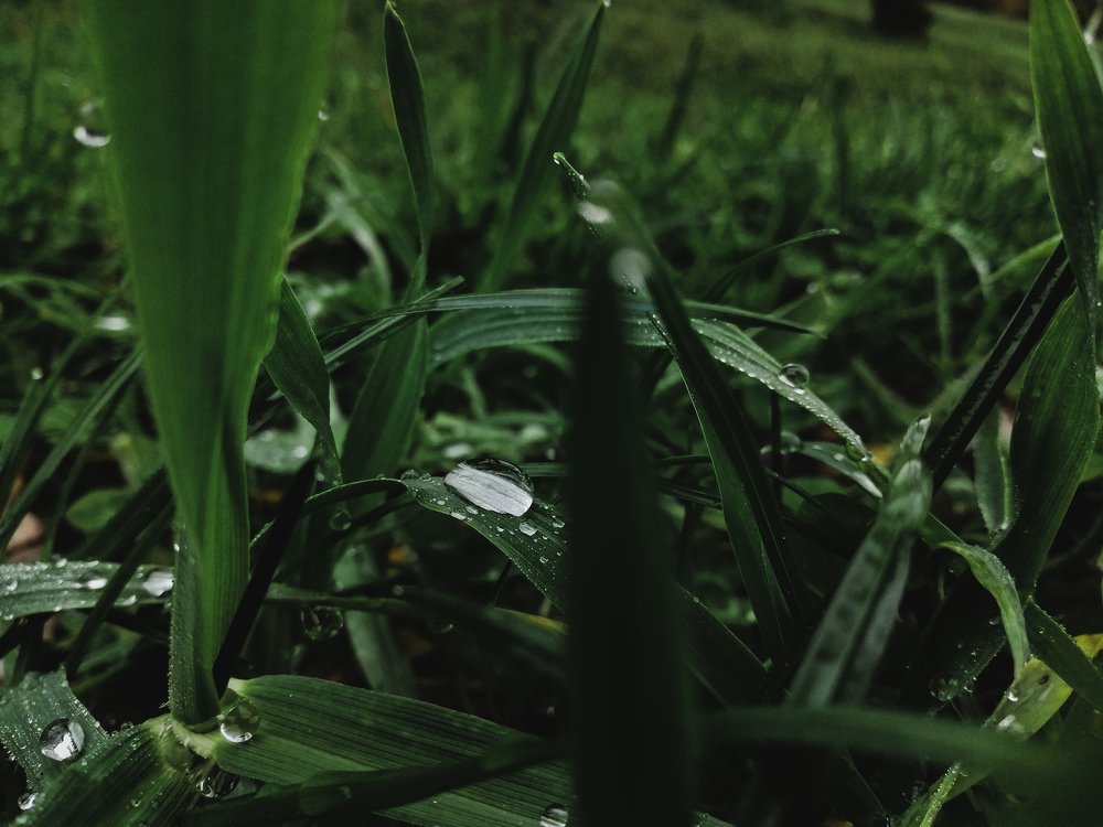 Photograph by Anastasiya