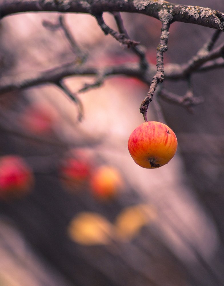 Photograph by Светлана Шибаршина